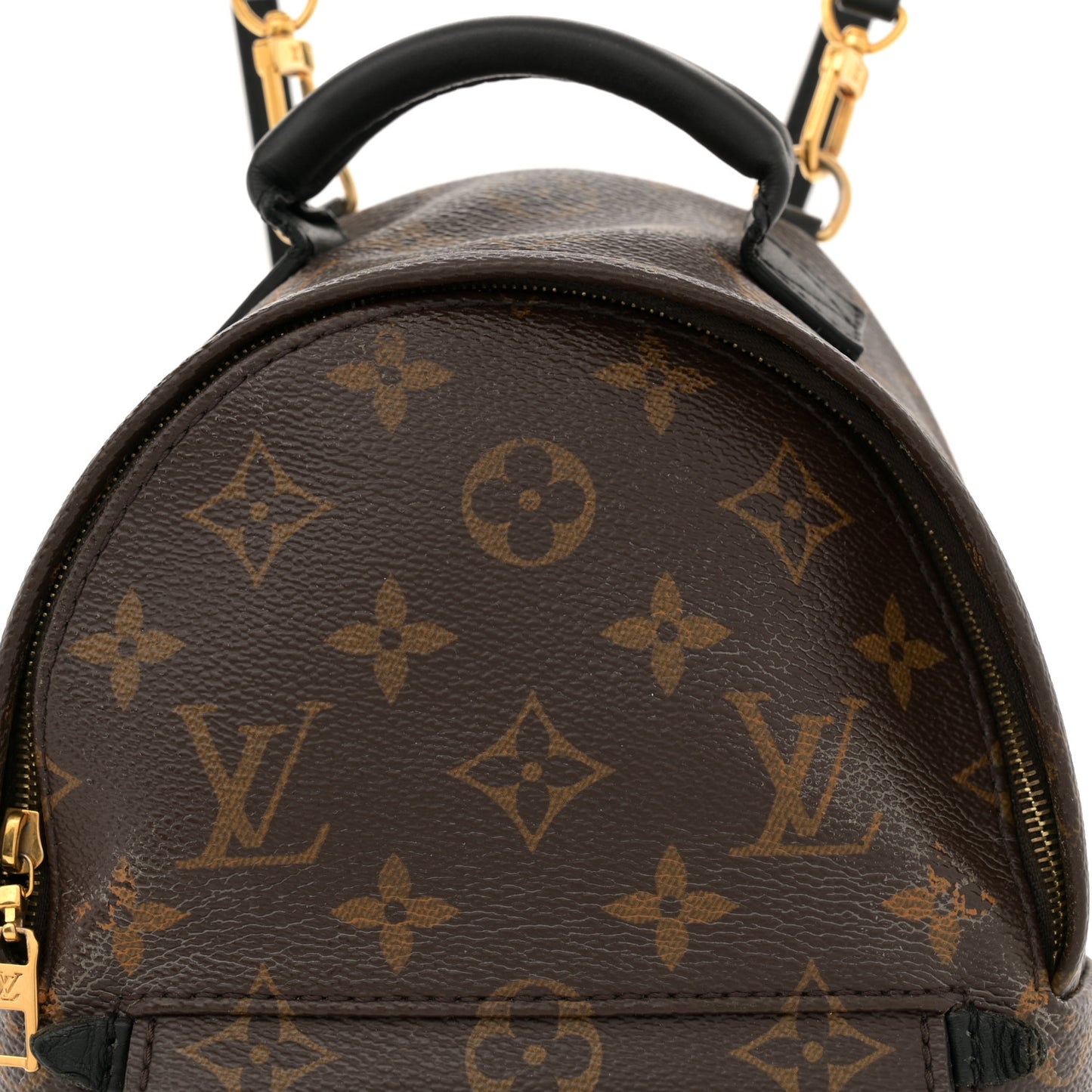 Monogram Palm Springs Backpack Mini