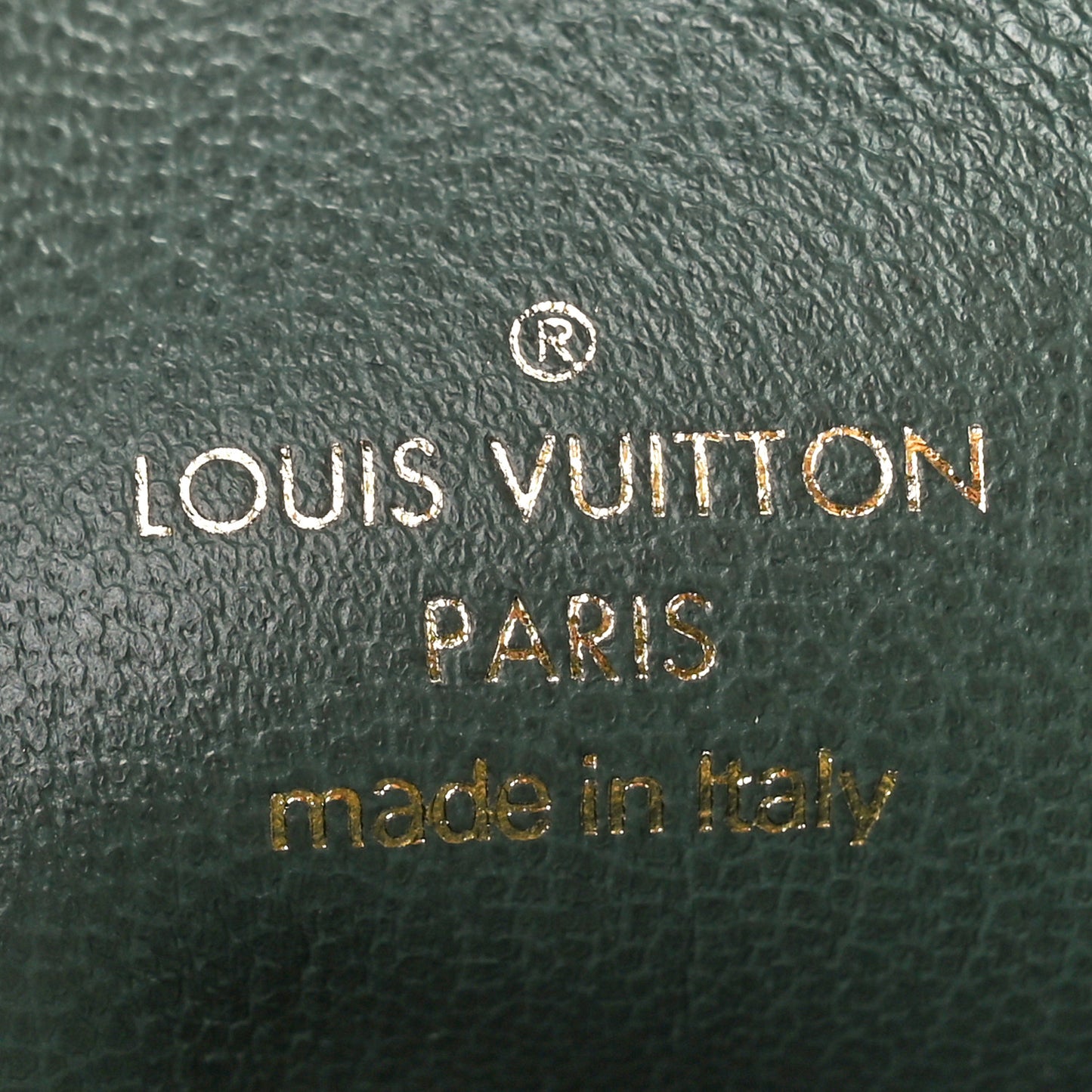 Lambskin Embossed Monogram Coussin PM Degrade Sage Green