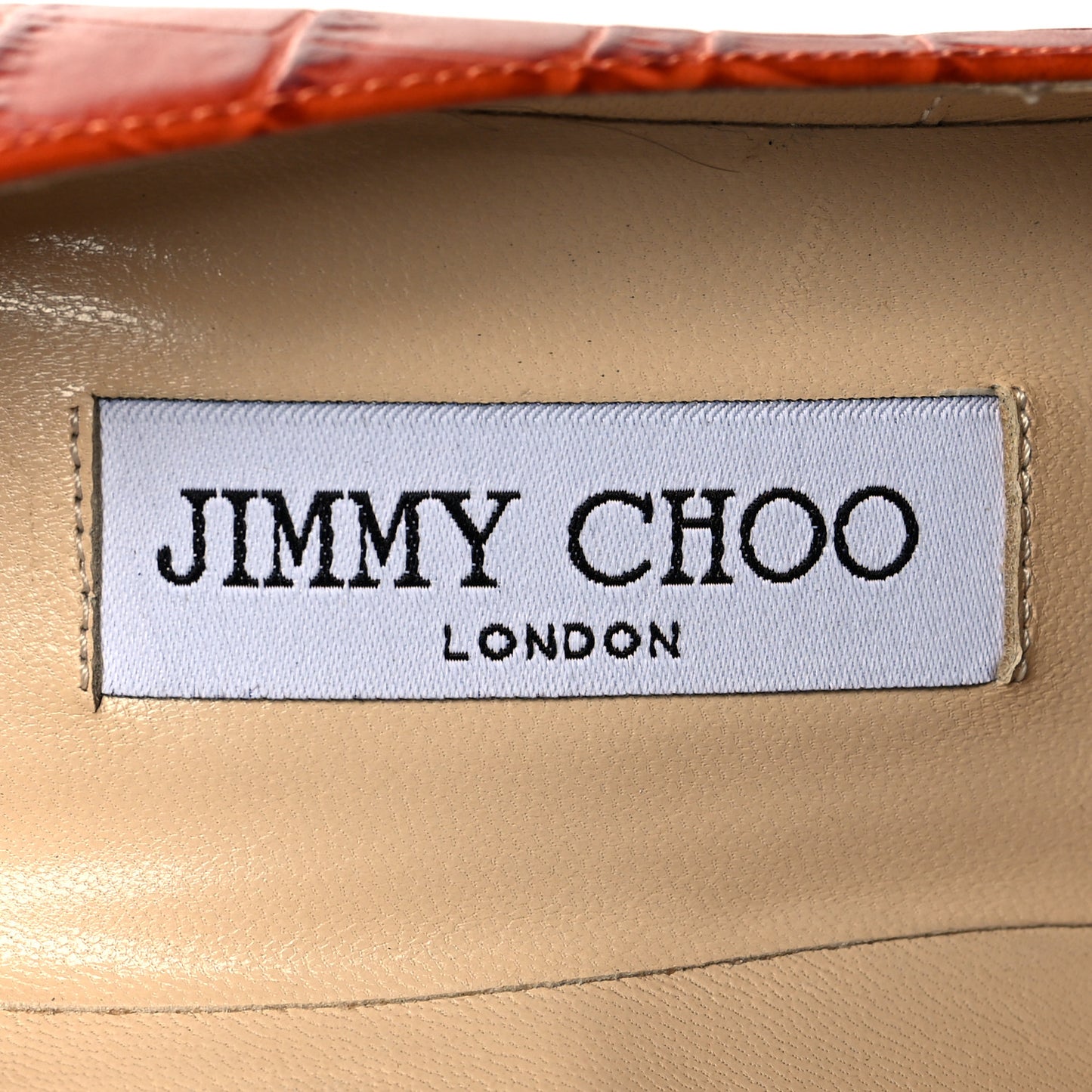 Crocodile Embossed Calfskin Love 100 Pump 38.5 Cuoio