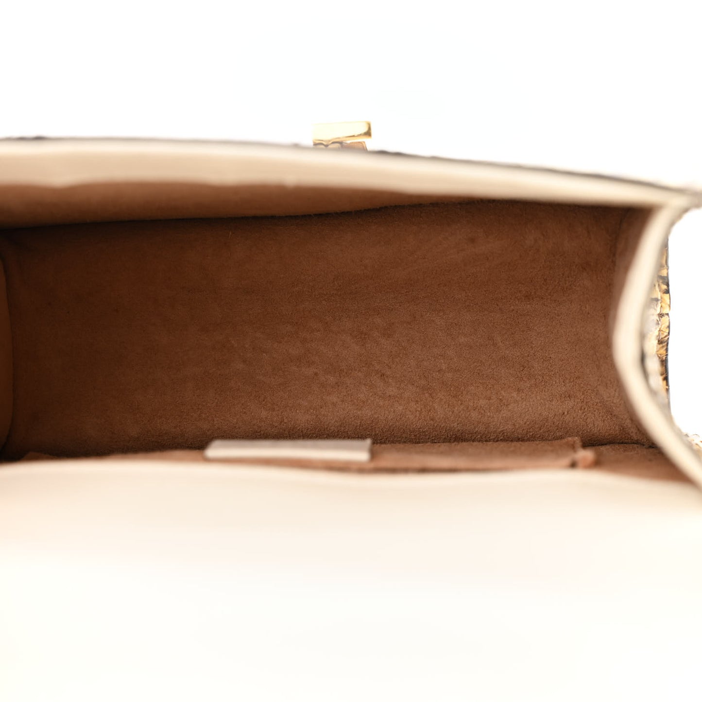 Snakeskin Mini Sylvie Chain Shoulder Bag Roccia