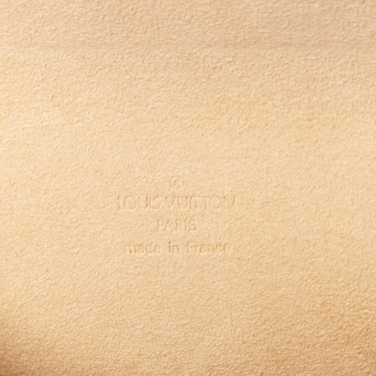 Monogram Pochette Florentine M