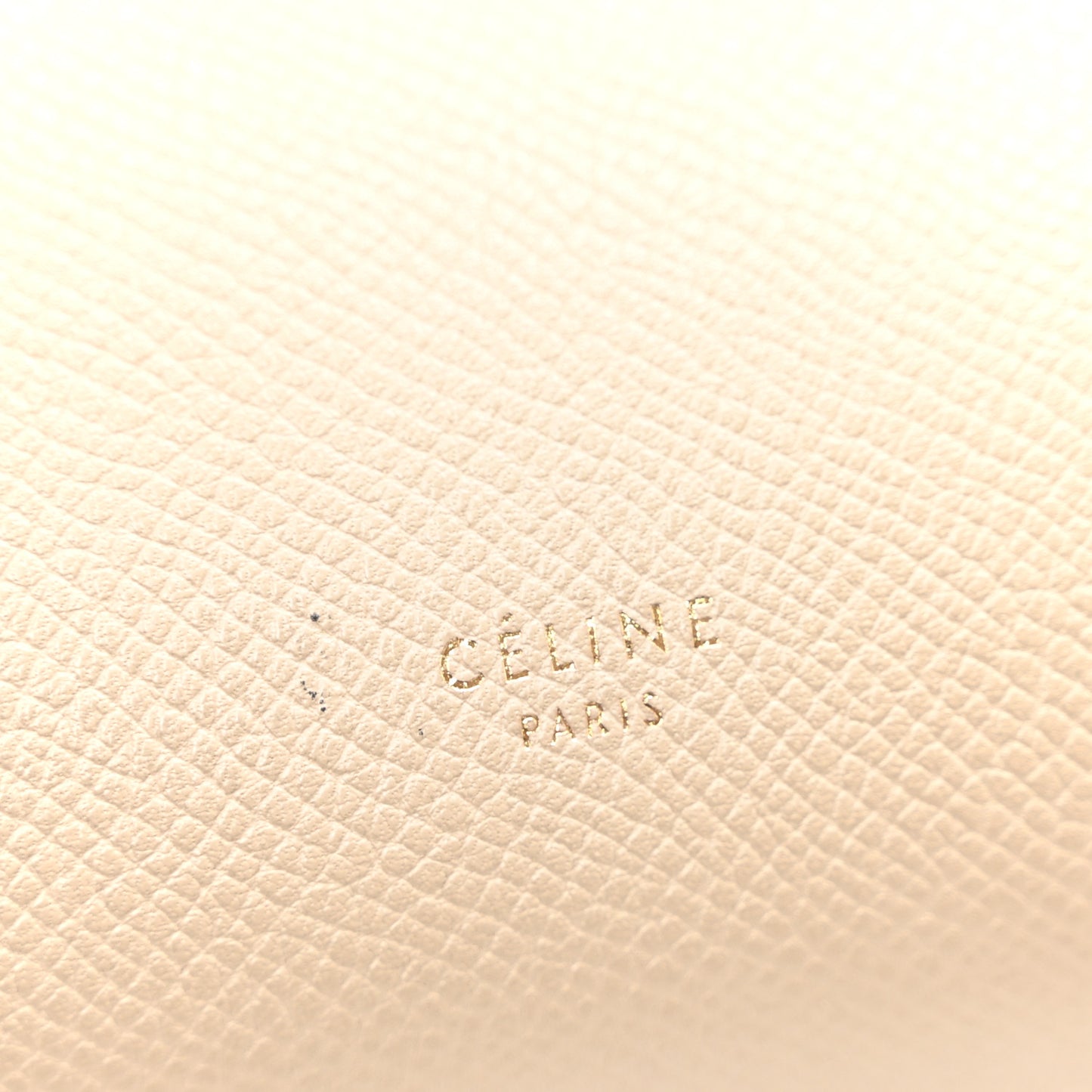 Grained Calfskin Small Belt Bag Dune