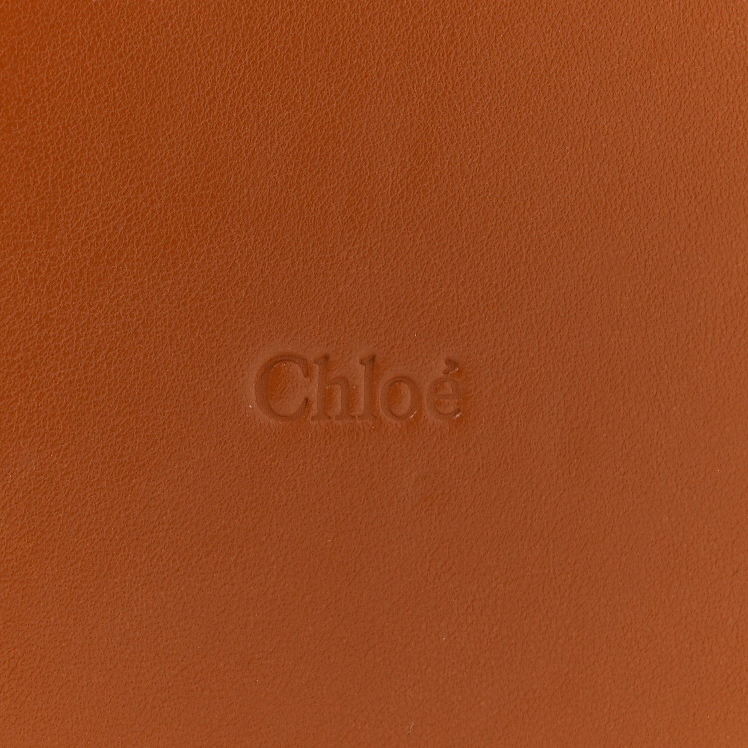 Chloe Palm Leaf Smooth Calfskin Medium Sense Basket Caramel 6 of 11