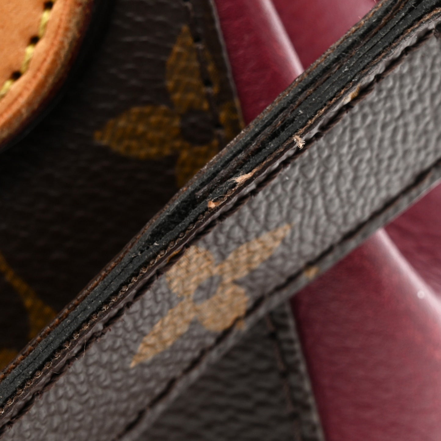 Monogram Eden PM Aurore