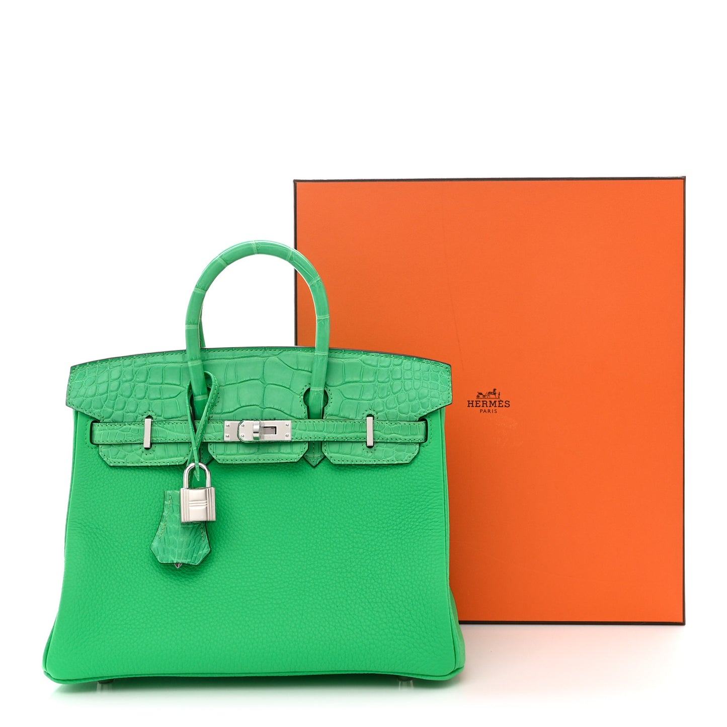Togo Matte Alligator Birkin Touch 25 Vert Comics