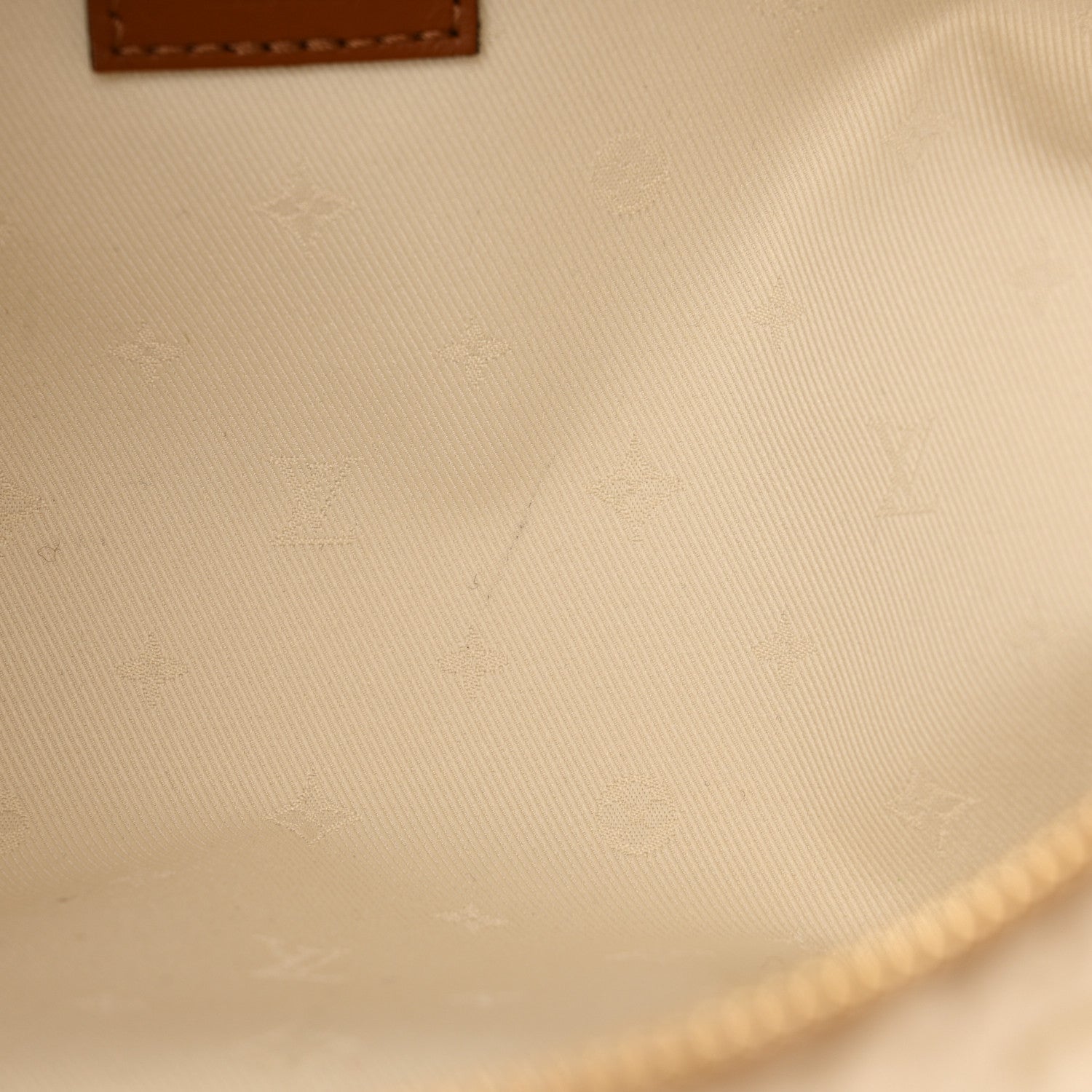 Louis Vuitton Monogram Teddy Bumbag 10 of 10