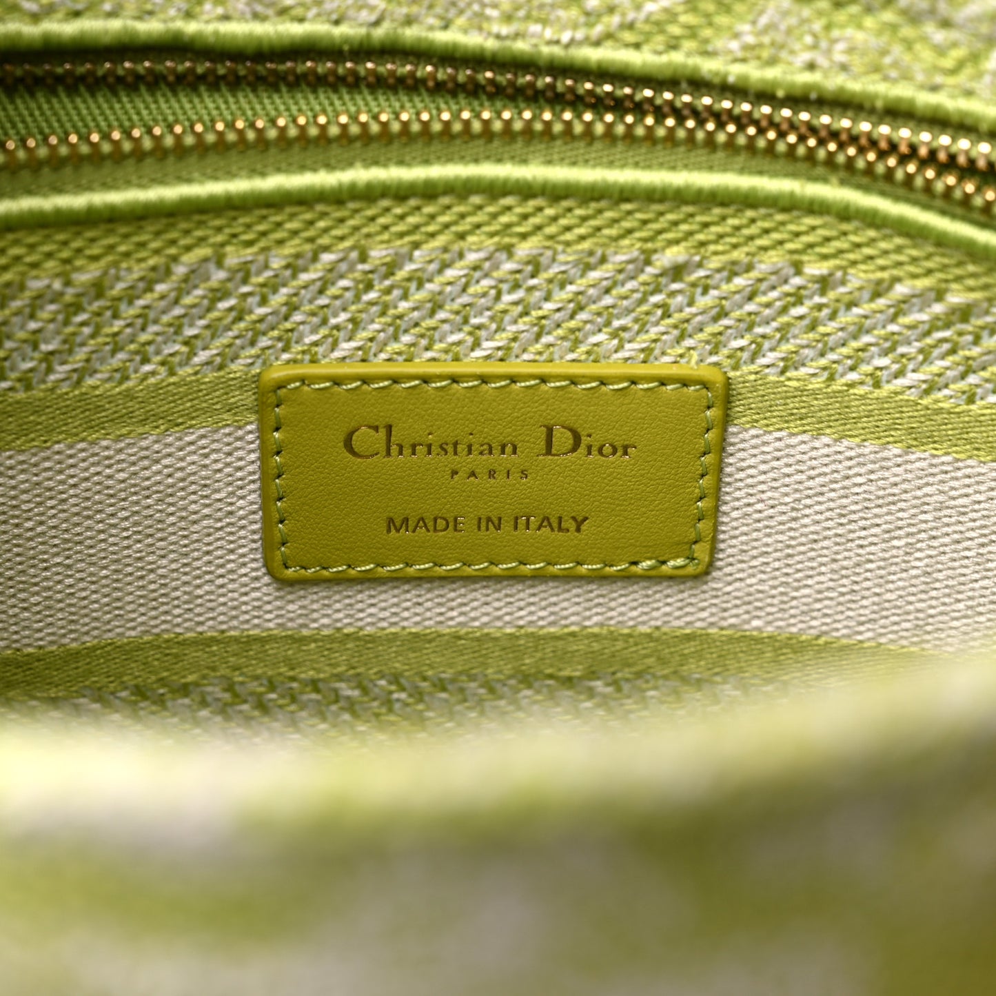 Canvas Toile De Jouy Reverse Embroidered Medium Lady D-Lite Green