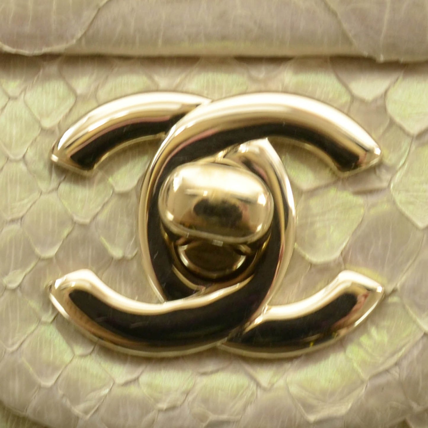Iridescent Python Mini Flap