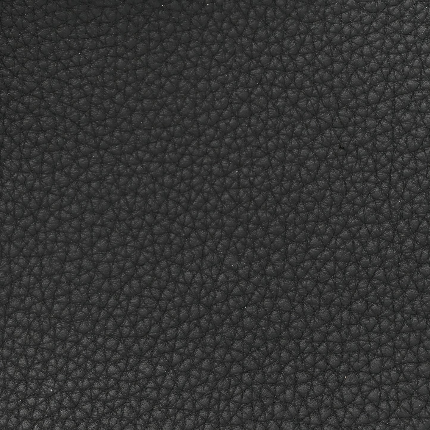 Togo Lizard Birkin Touch 25 Black