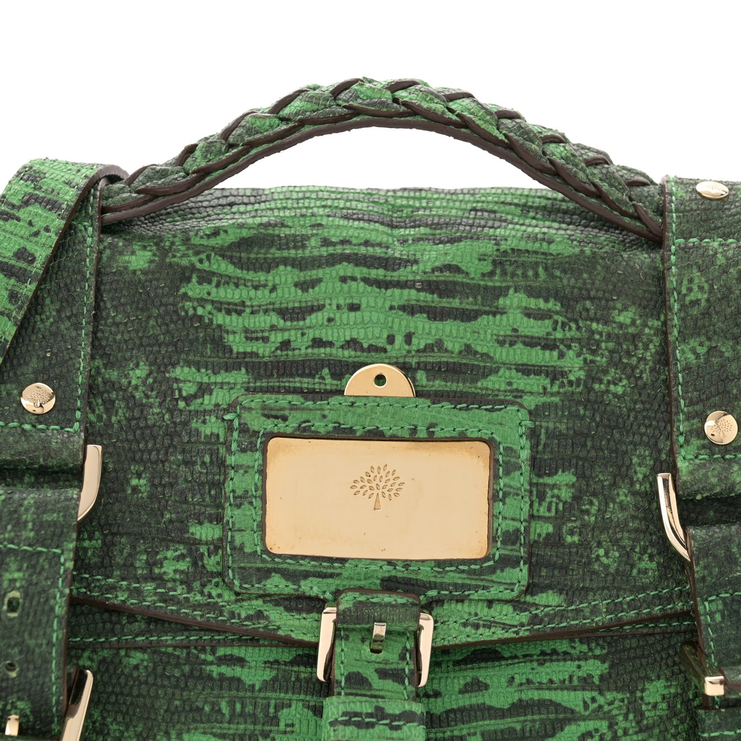 Lizard Print Travel Day Grass Green