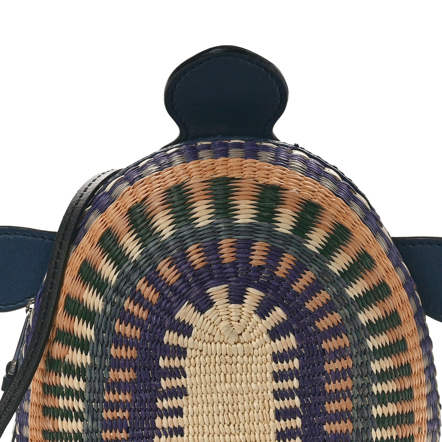 Raffia Calfskin Paula's Ibiza Turtle Pouch Ocean Multicolor