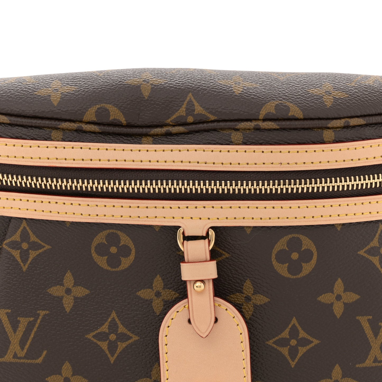 Monogram High Rise Bumbag