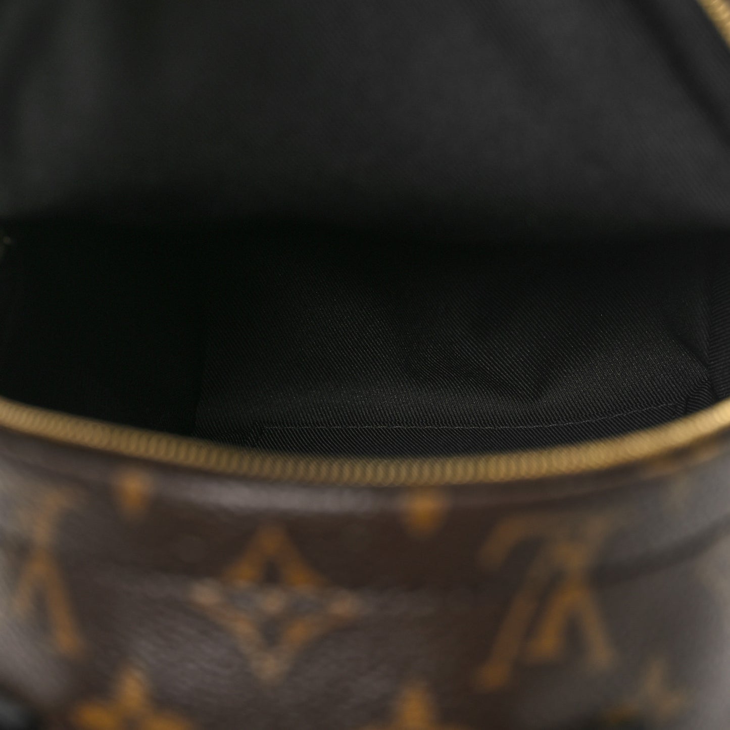 Monogram Palm Springs Backpack Mini