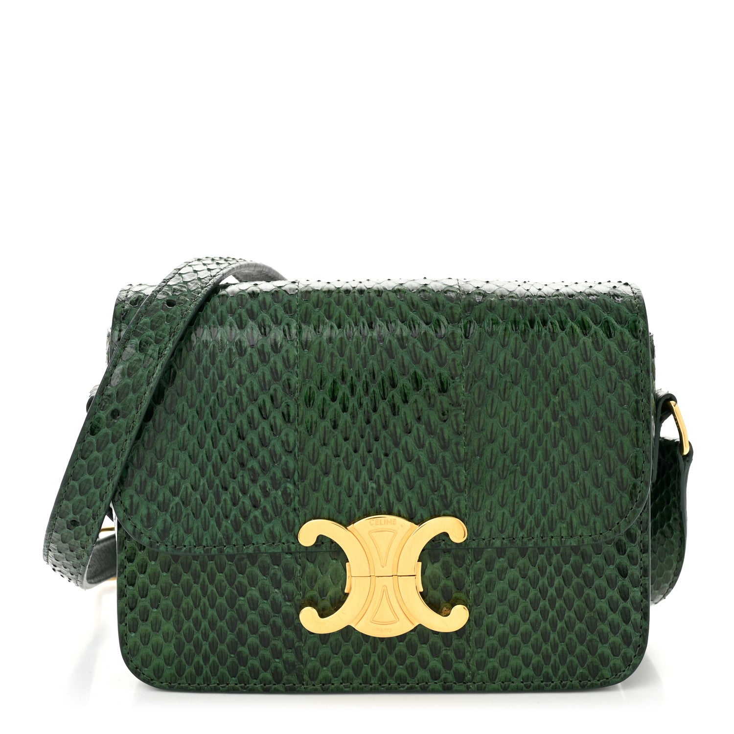 Celine Watersnake Teen Triomphe Green 1708060 – FASHIONPHILE