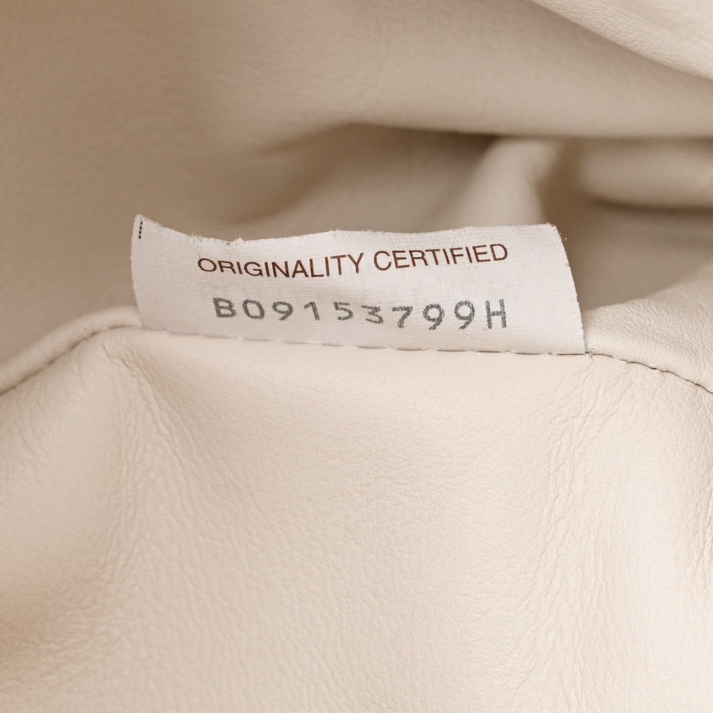 Smooth Butter Calf The Pouch Oversized Clutch Mist