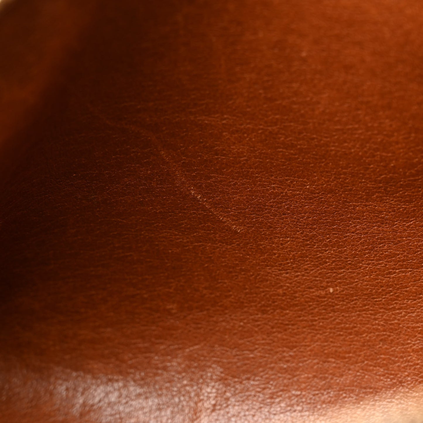 Monogram Papillon 30