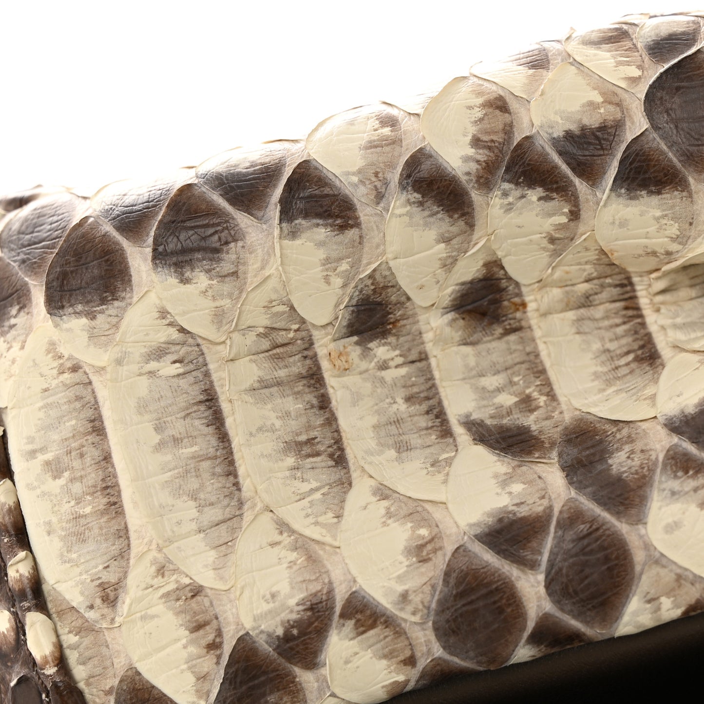 Snakeskin Metal Top Handle Carry Chic Flap