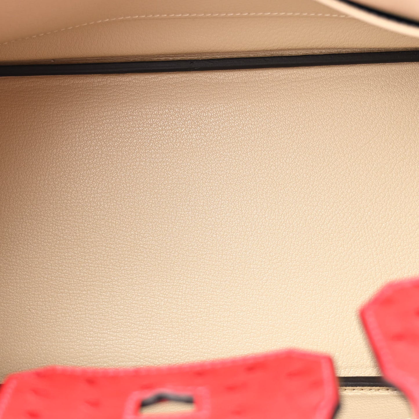 Ostrich Horseshoe Birkin 30 Rouge Vif Parchemin