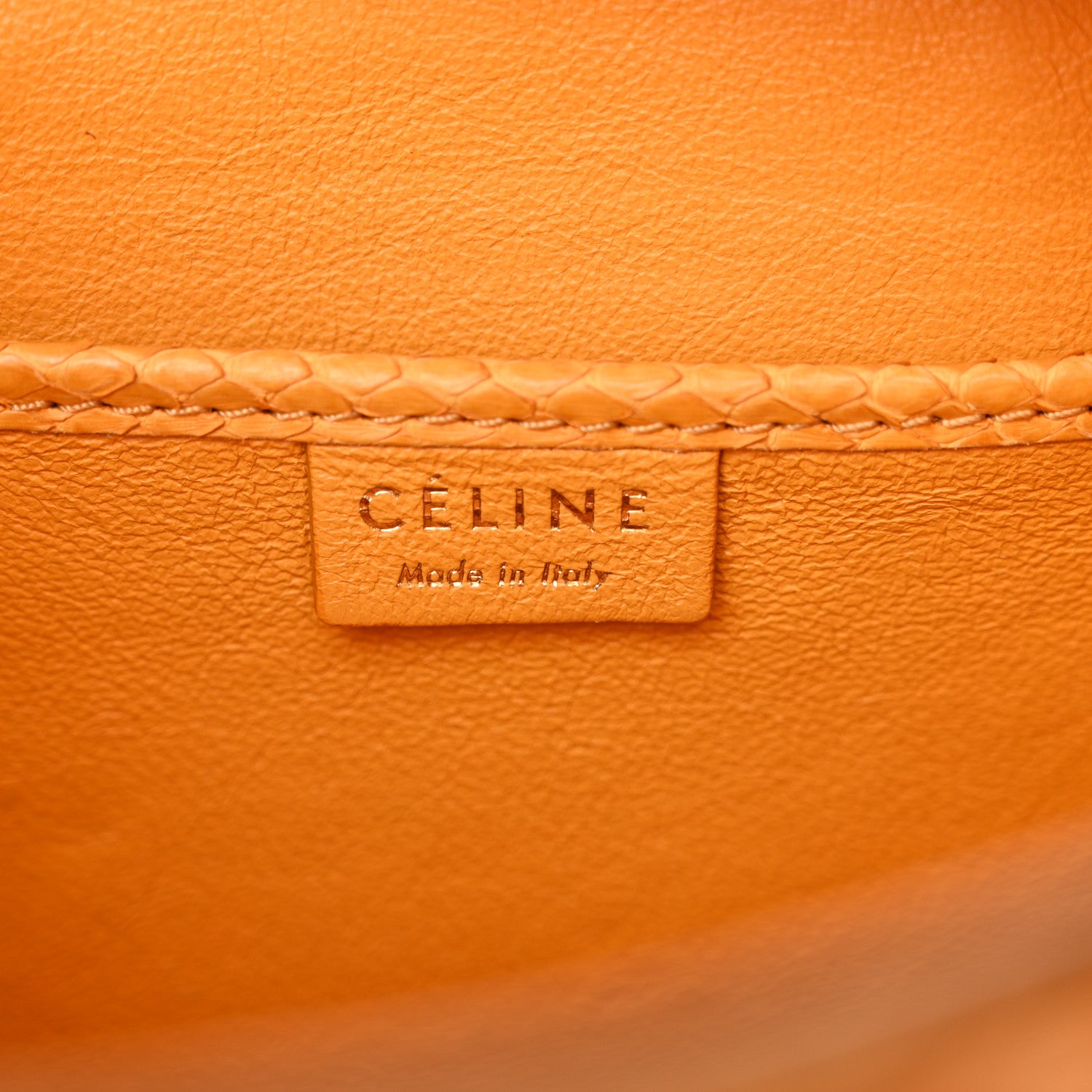 Celine Snakeskin Calfskin Nano Luggage Yellow 6 of 21