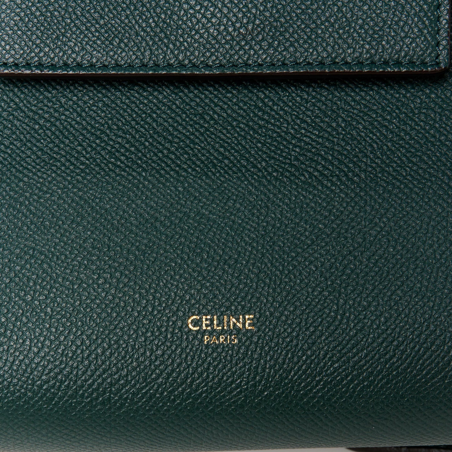 Grained Calfskin Nano Belt Bag Amazone