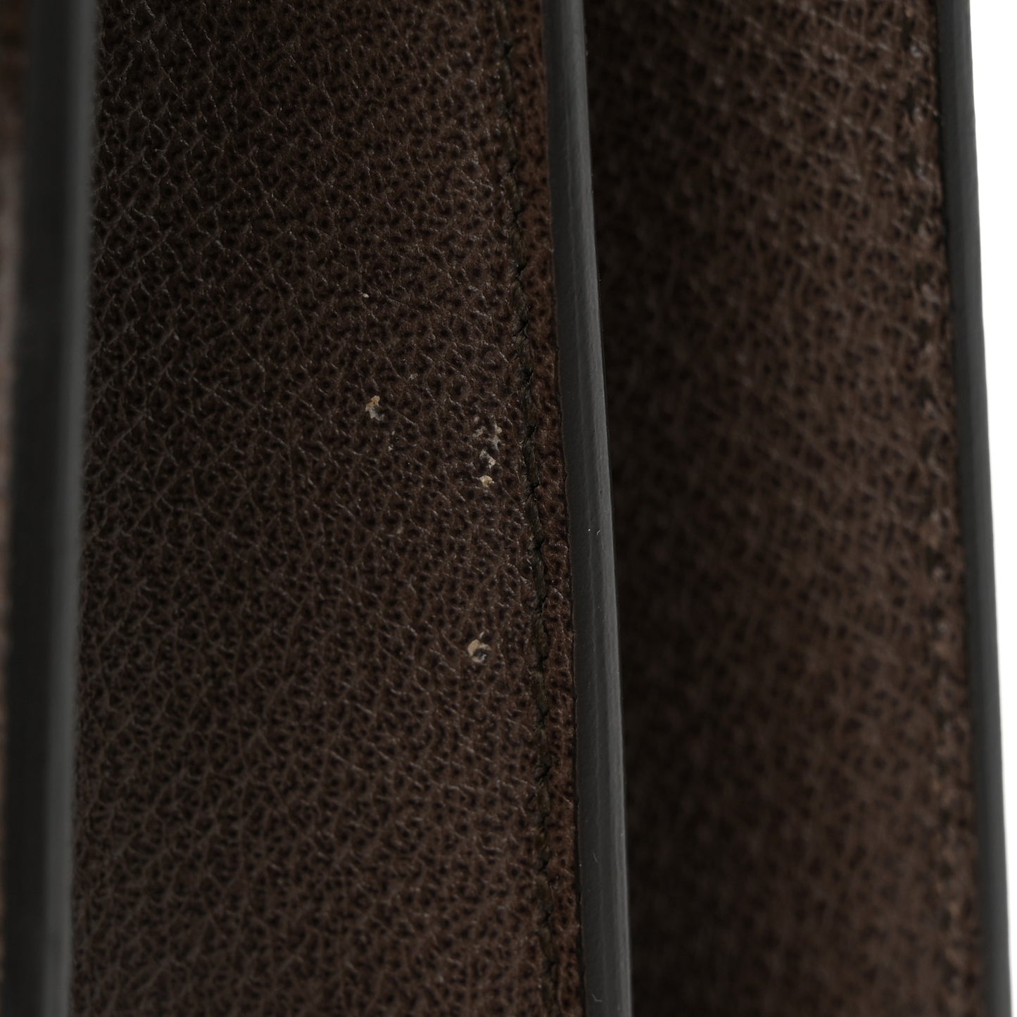 Calfskin Web Floral Embroidered Medium Dionysus Shoulder Bag New Acero