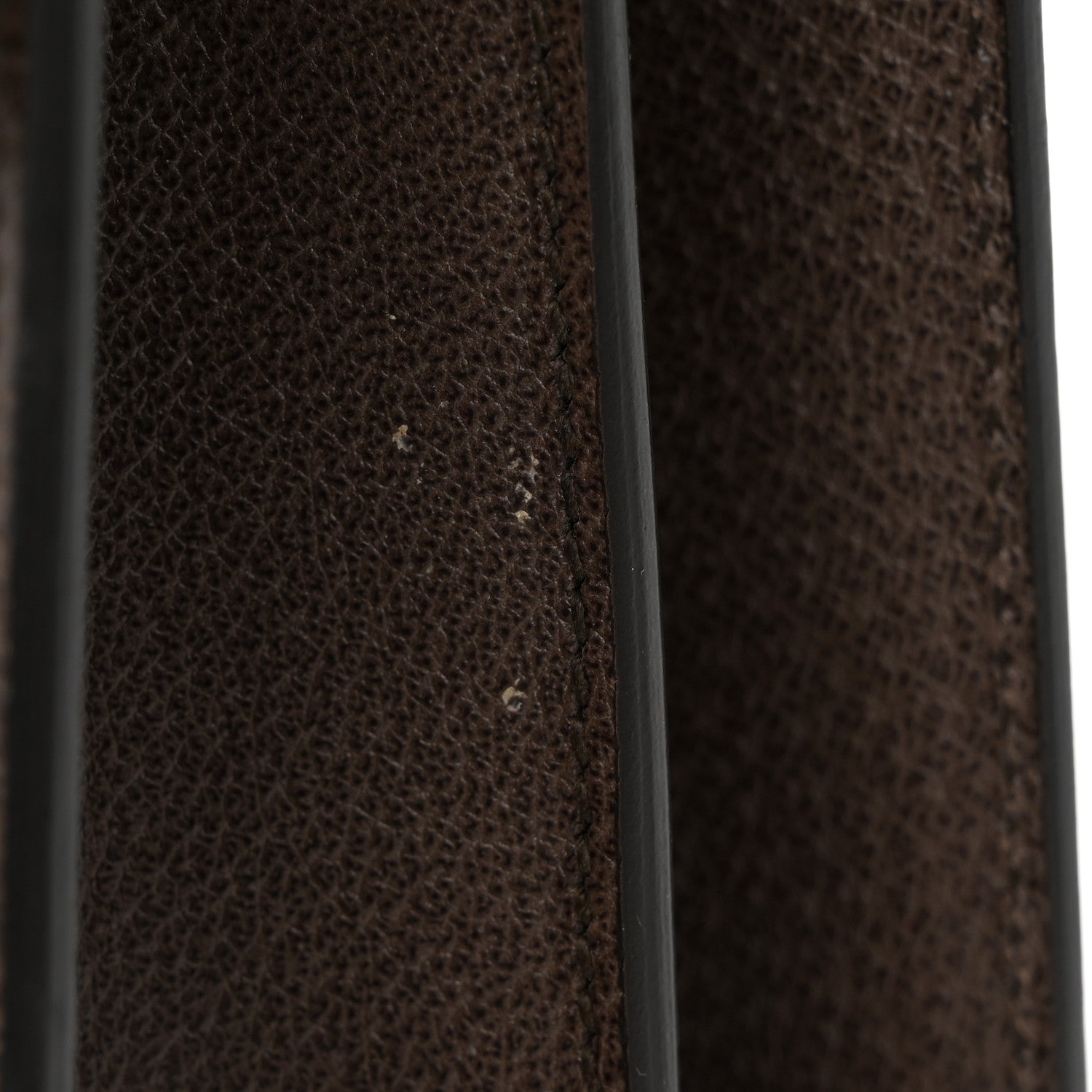 Gucci Calfskin Web Floral Embroidered Medium Dionysus Shoulder Bag New Acero 11 of 13