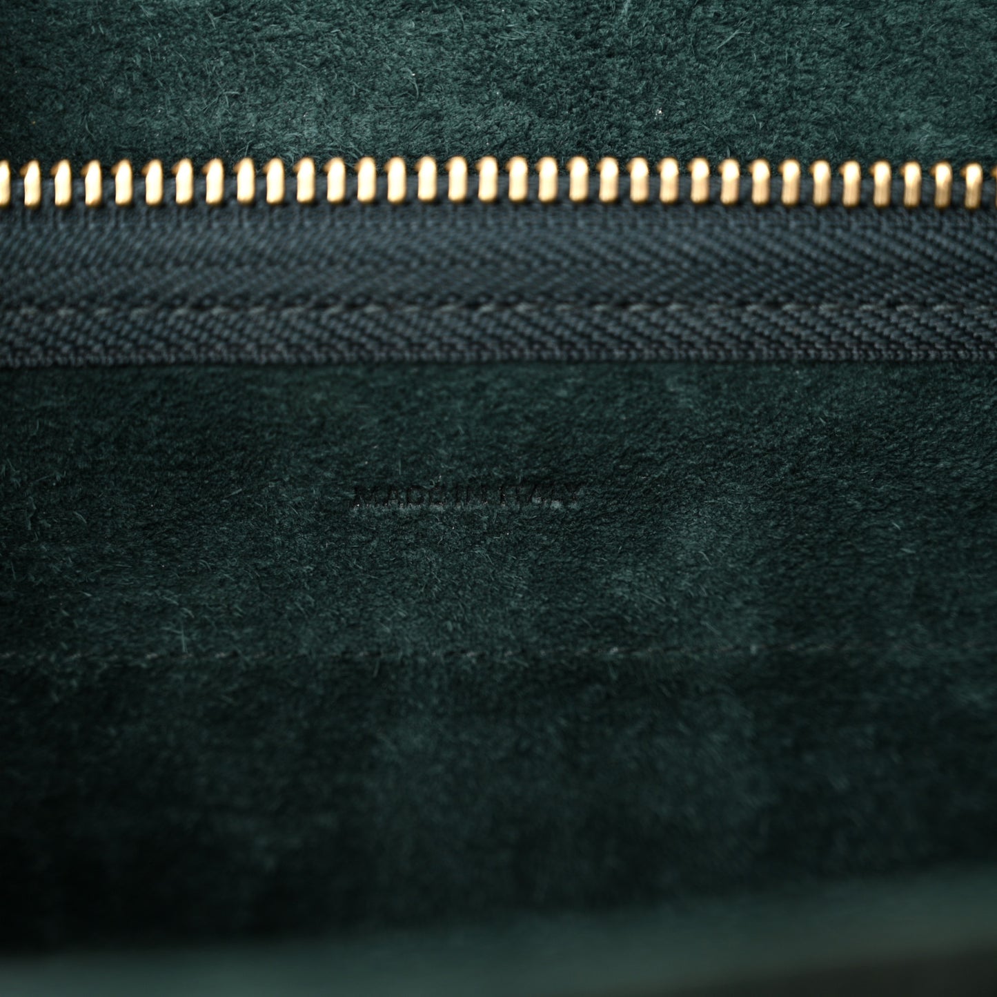 Calfskin Crocodile Embossed Nano Belt Bag Amazone