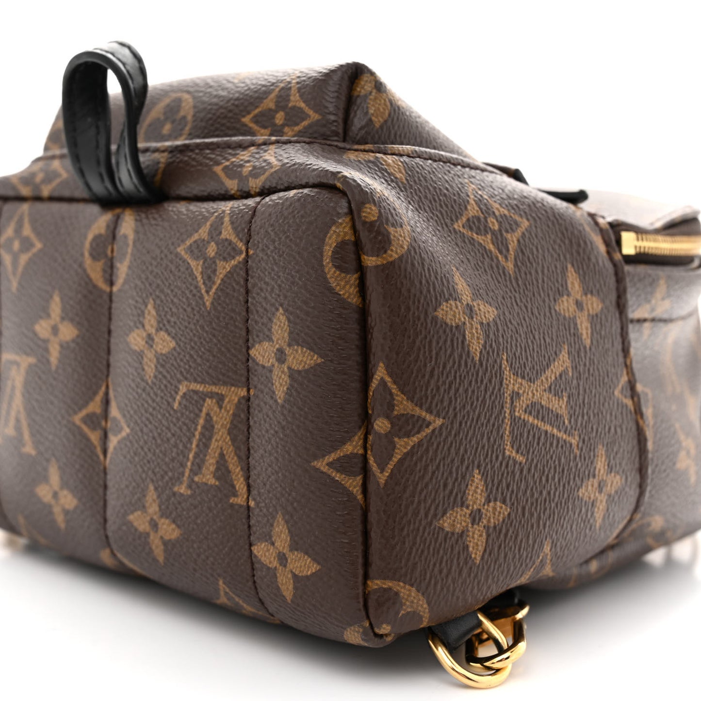 Monogram Palm Springs Backpack Mini