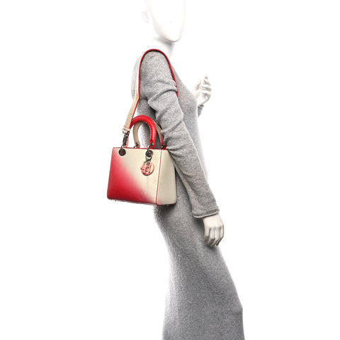 Snakeskin Ombre Medium Lady Dior Red White