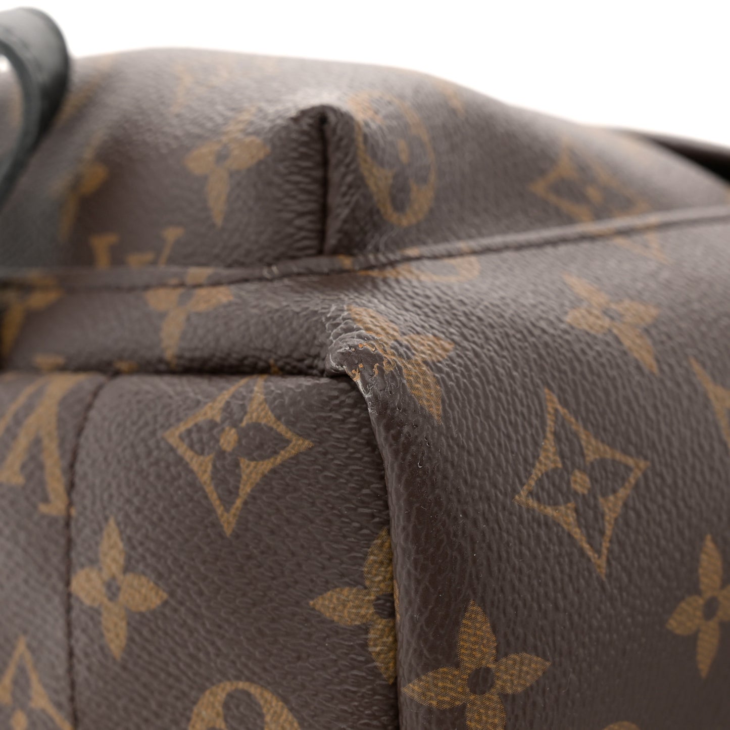 Monogram Palm Springs Backpack PM