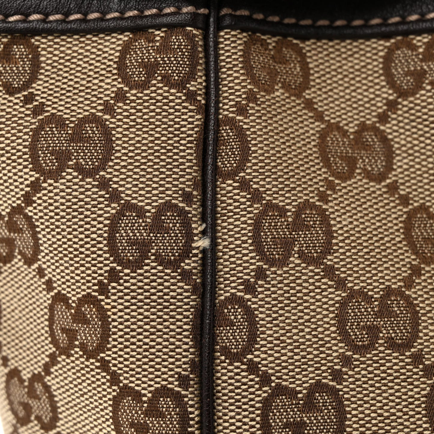 Monogram Large Positano Tote Brown