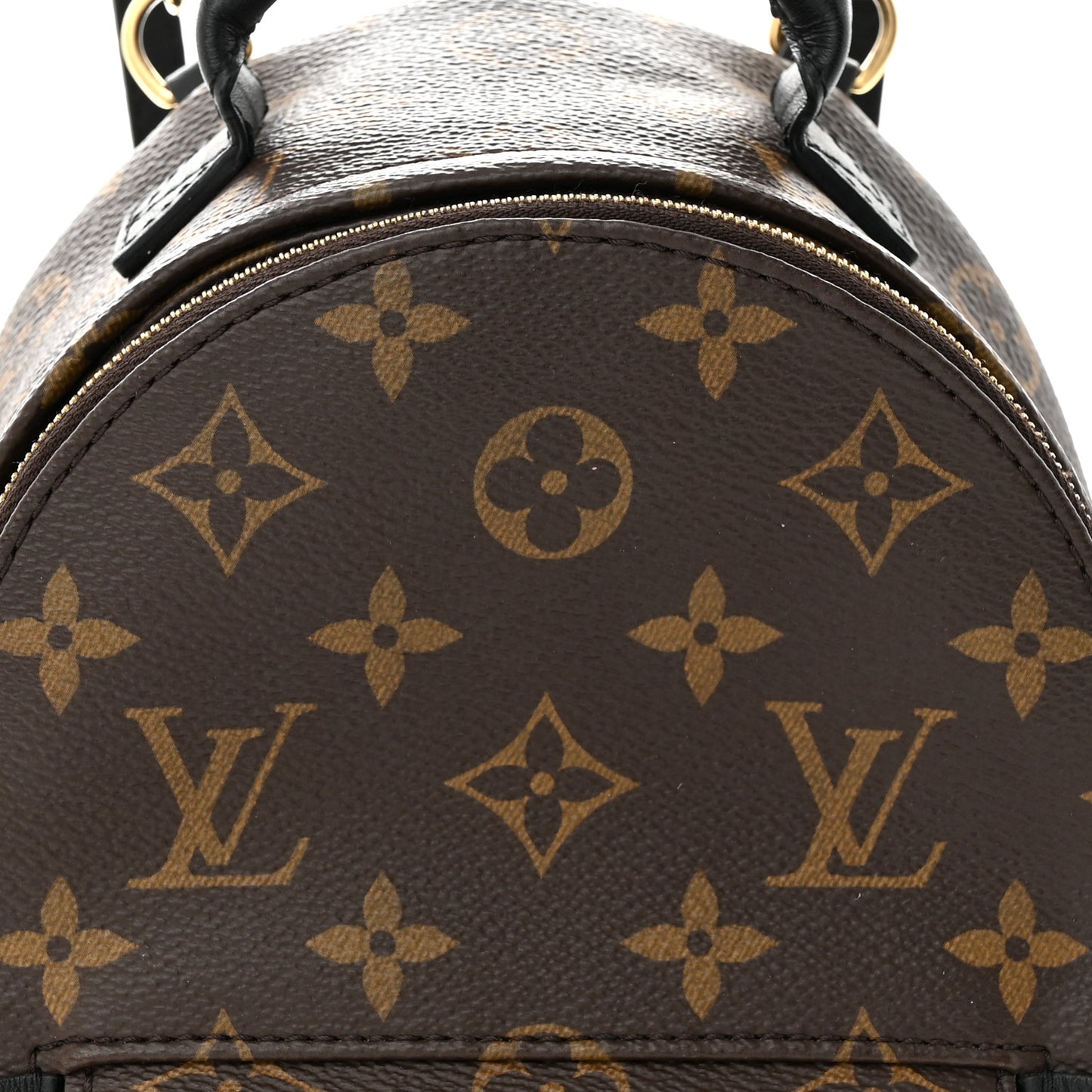 Monogram Palm Springs Backpack Mini