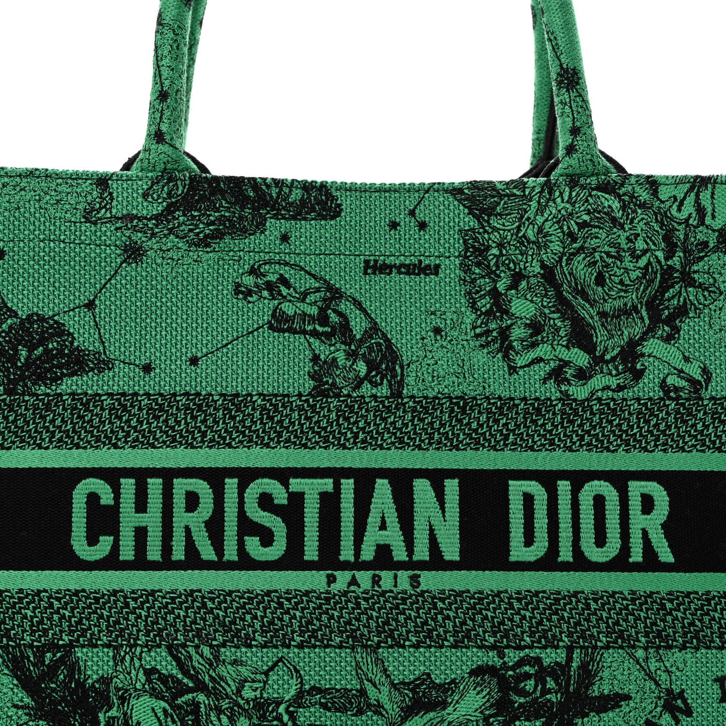 Canvas Embroidered Medium Zodiac Toile De Jouy Book Tote Green