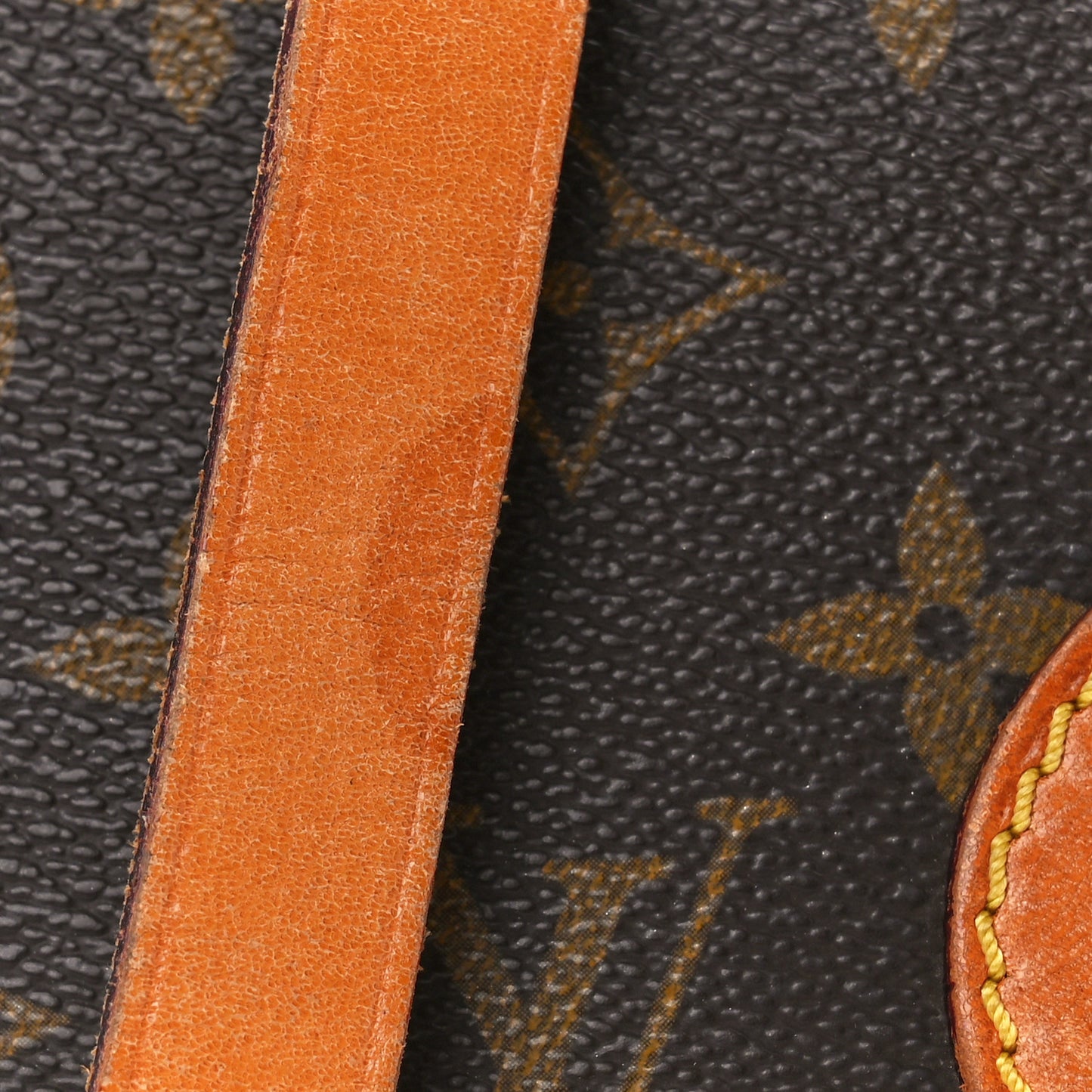 Monogram Cartouchiere 17