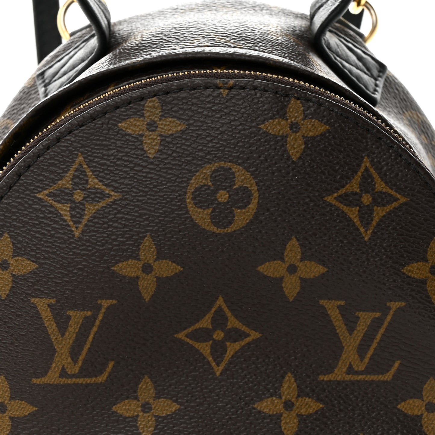 Monogram Palm Springs Backpack Mini