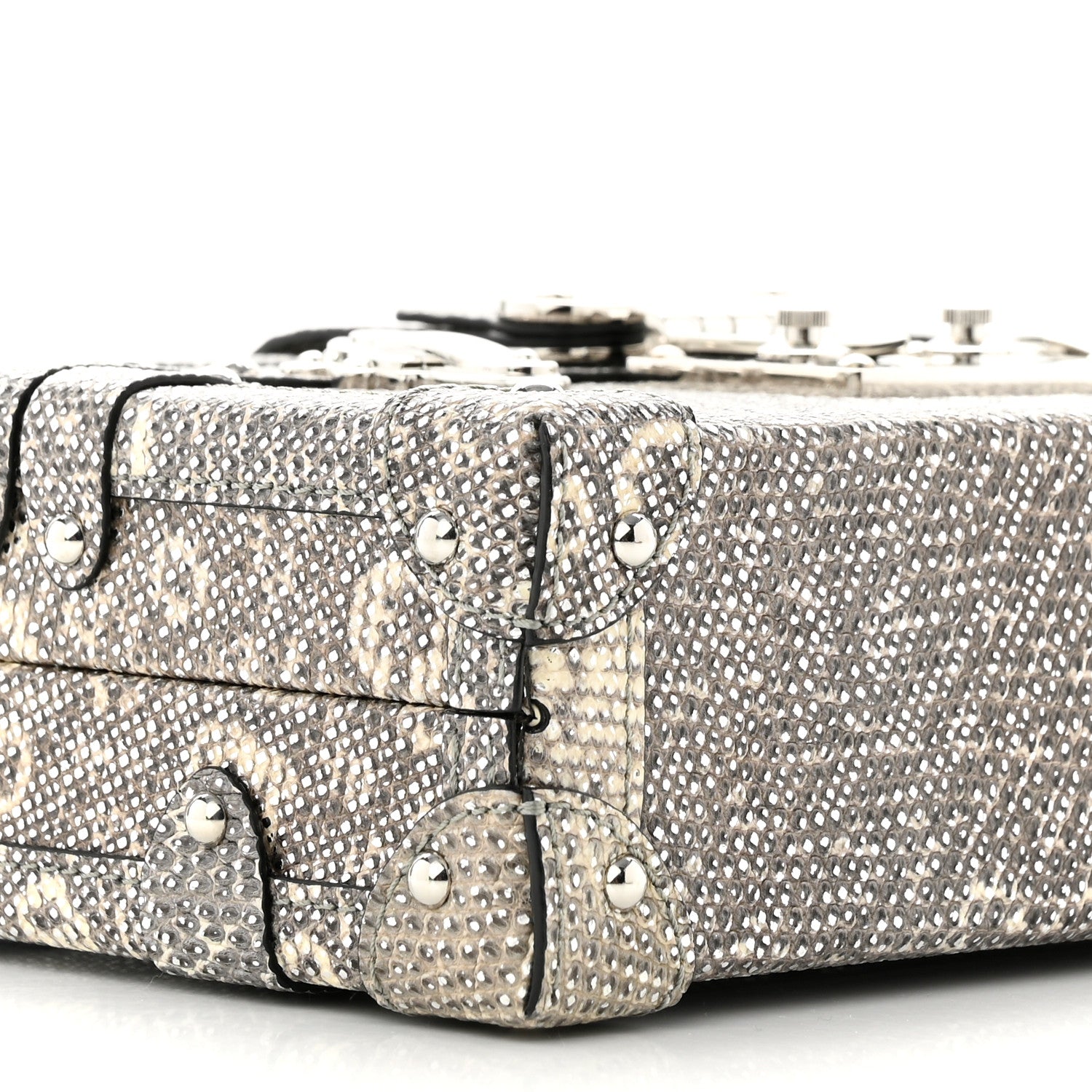 Louis Vuitton Lizard Petite Malle Silver 8 of 10