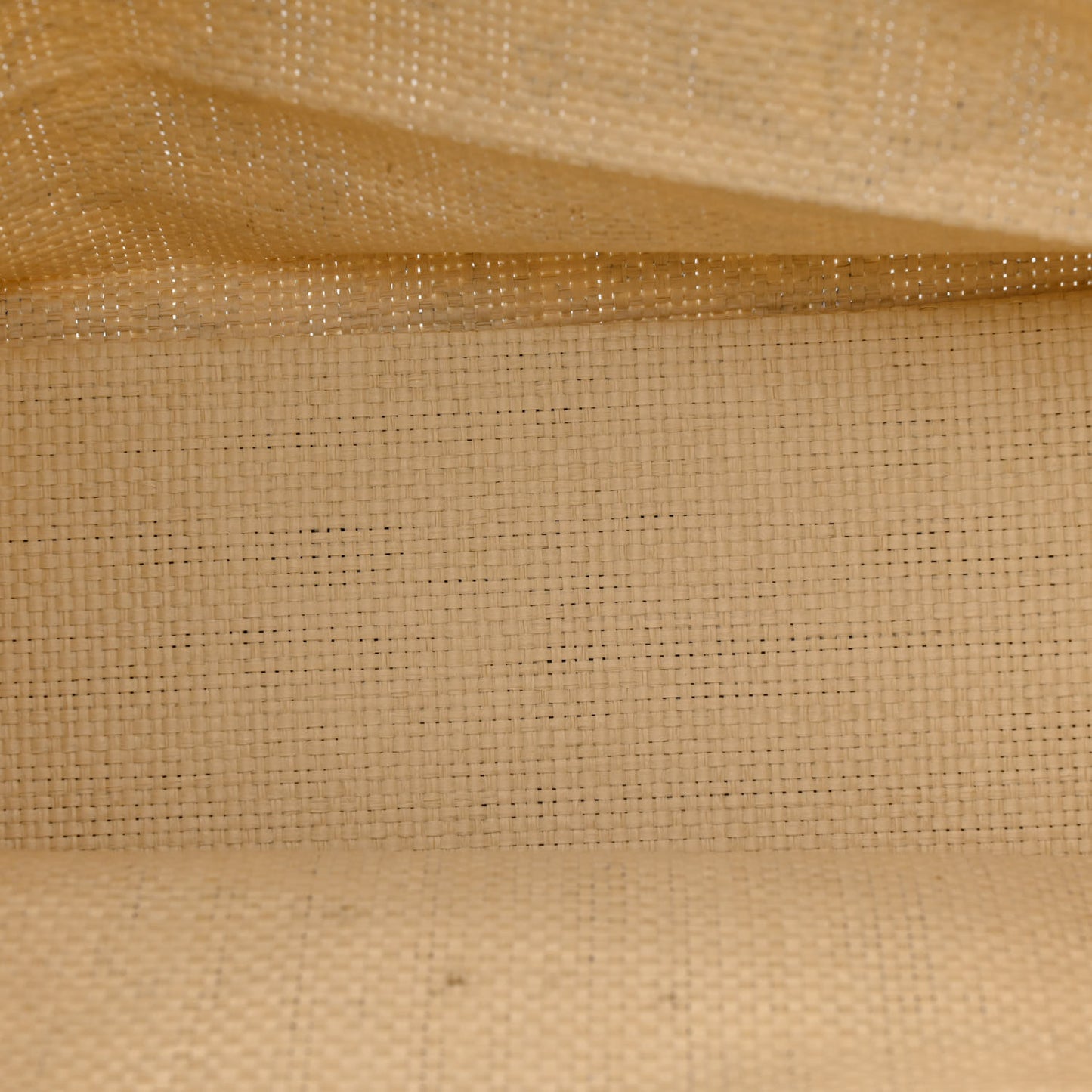 Straw Dioriviera Tote Blue