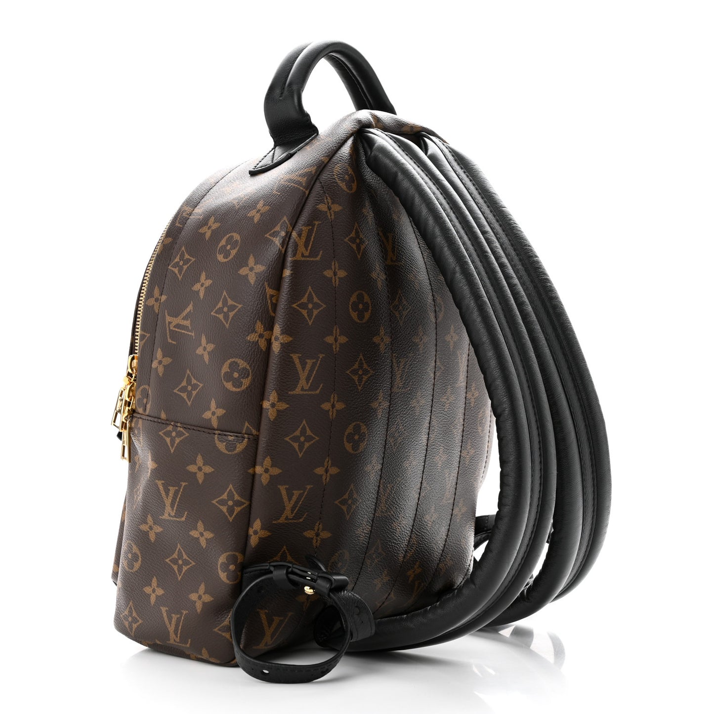 Monogram Palm Springs Backpack MM