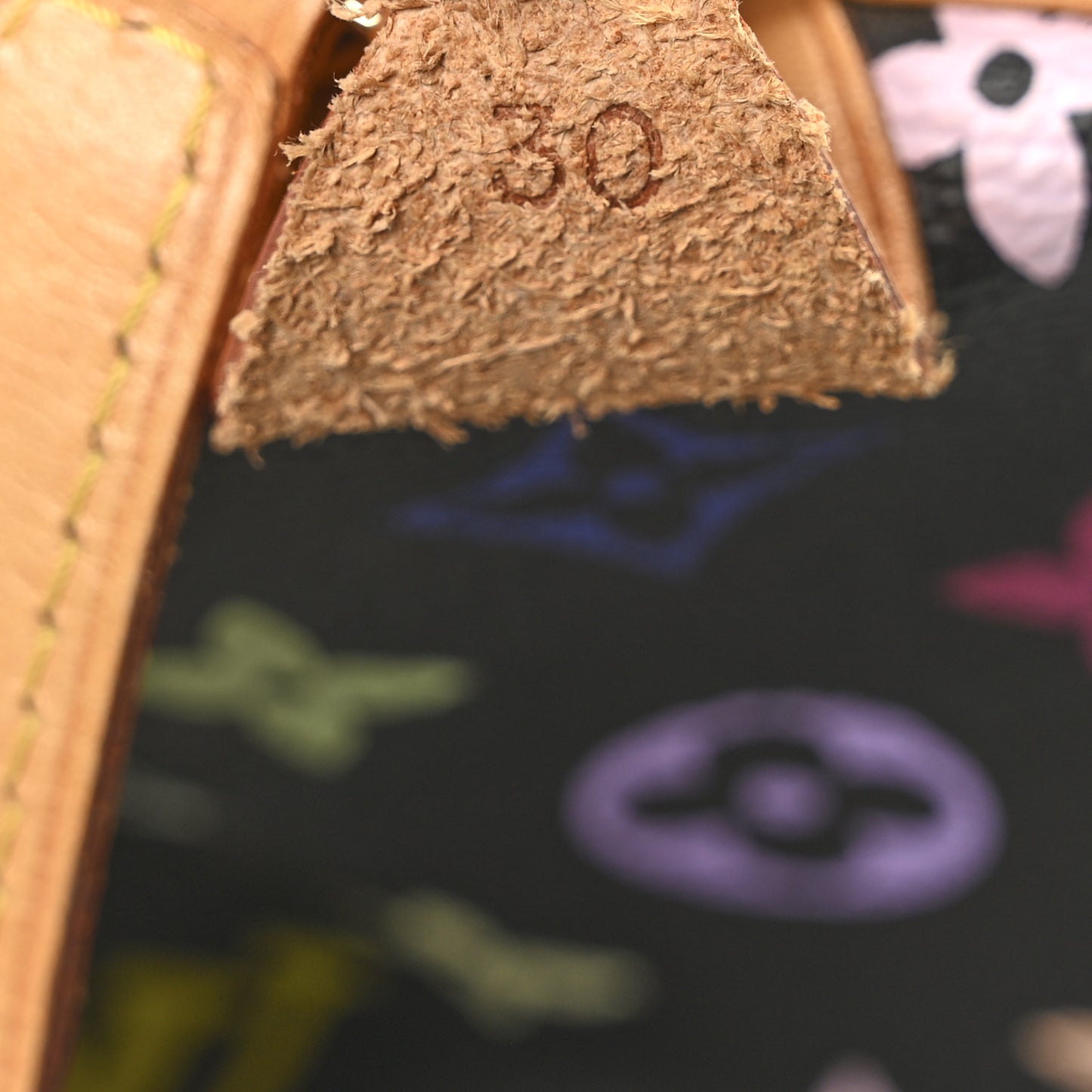 Monogram Multicolor Speedy 30 Black