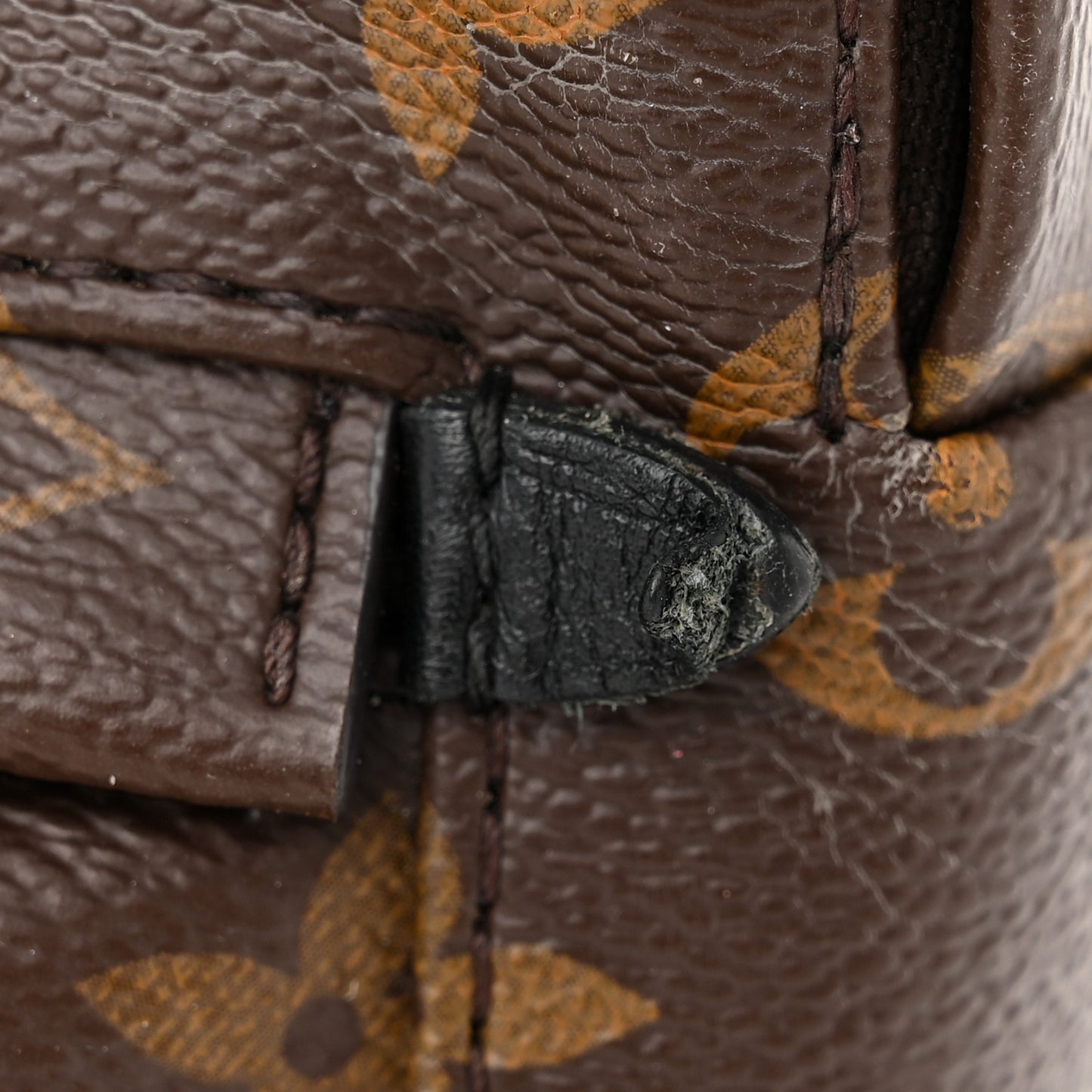 Monogram Palm Springs Backpack Mini