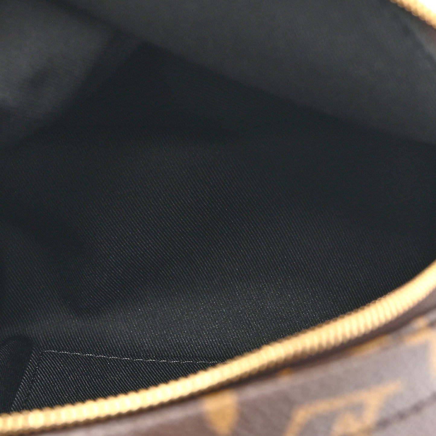 Monogram Palm Springs Backpack Mini