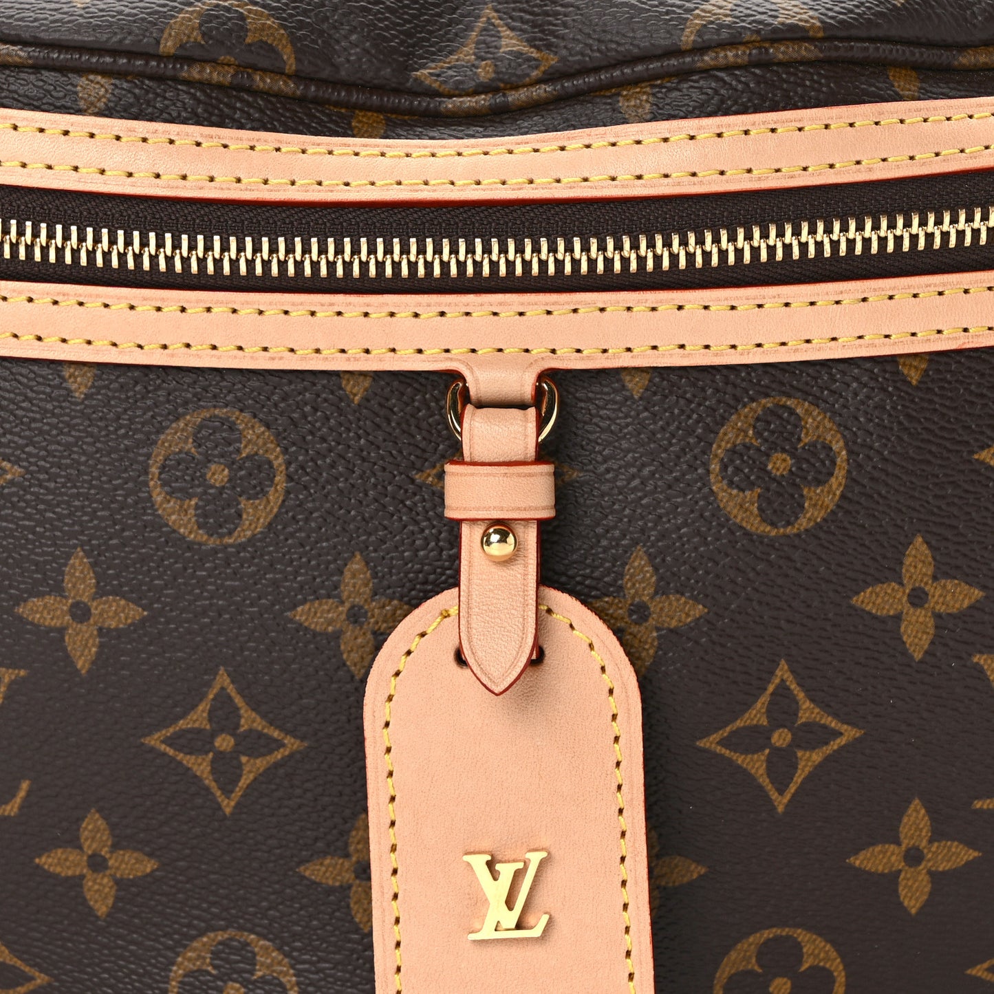 Monogram High Rise Bumbag
