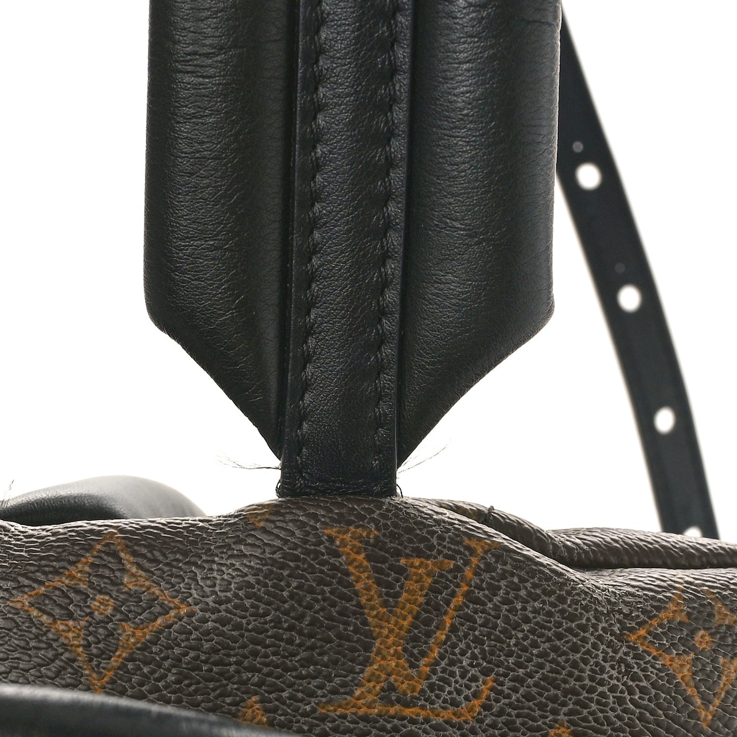 Monogram Palm Springs Backpack MM
