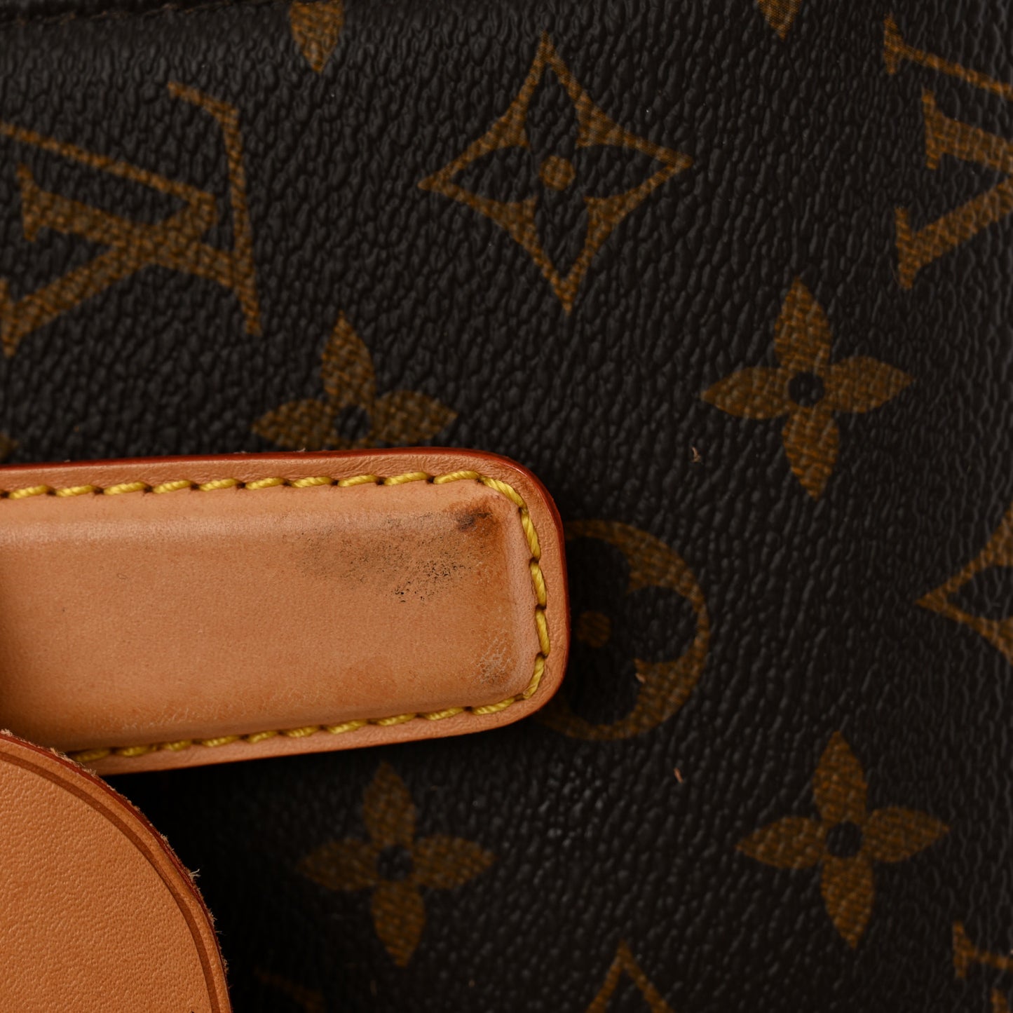 Monogram Pegase Legere Business