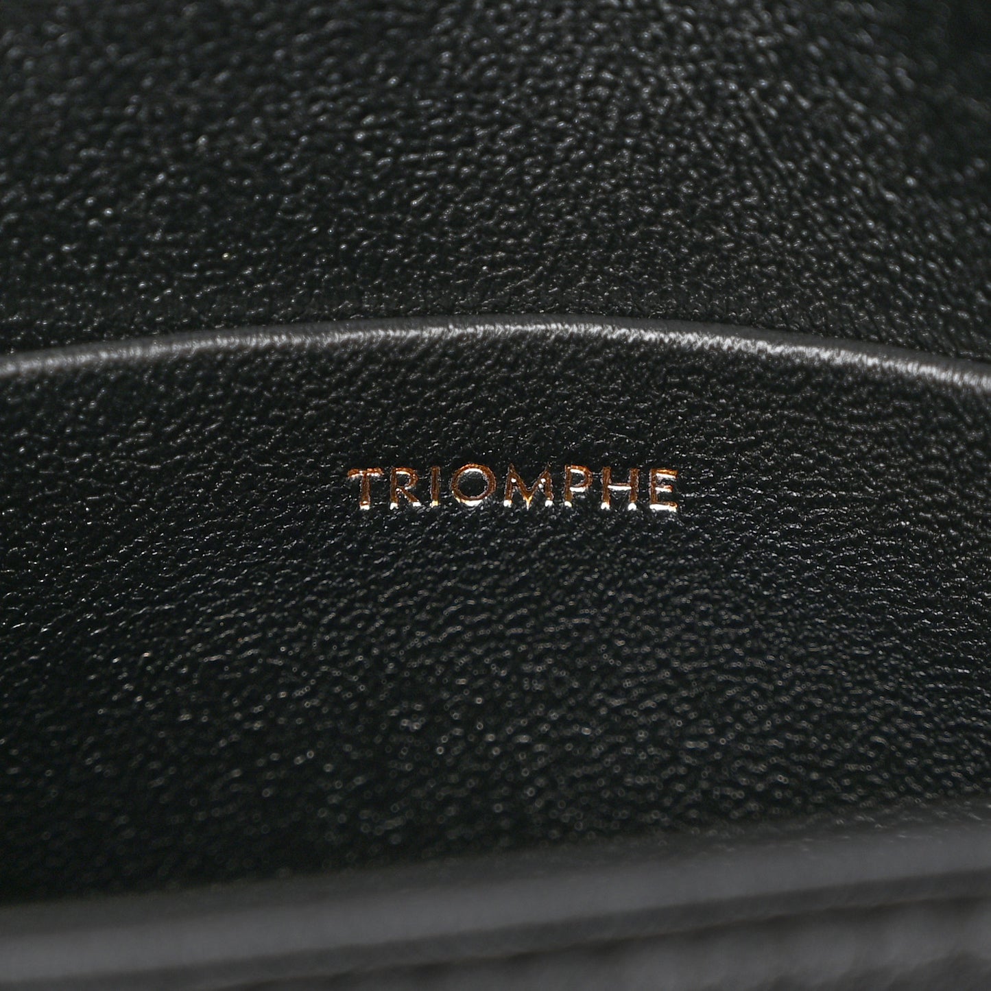 Shiny Calfskin Teen Triomphe Black