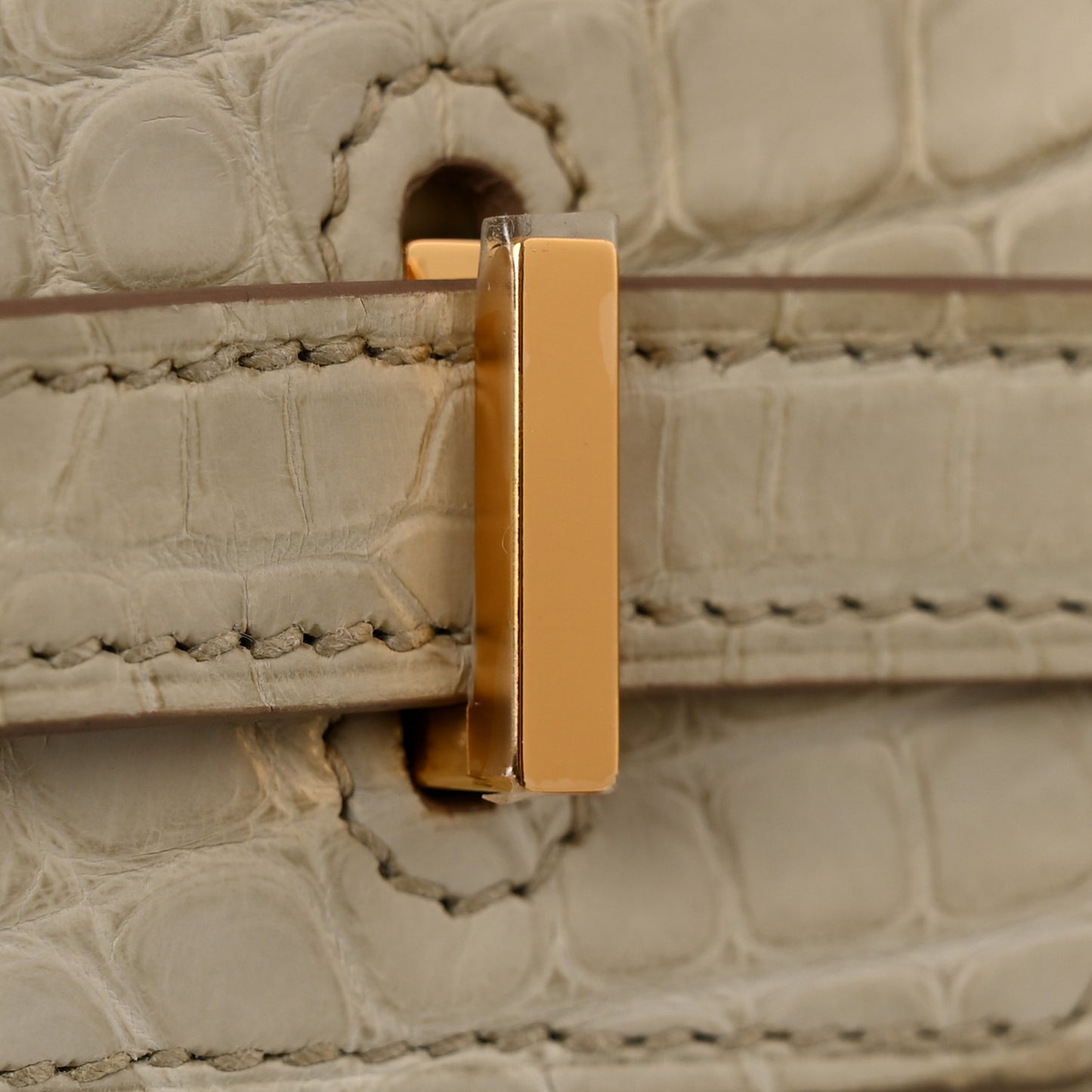 Matte Alligator Birkin 25 Beton