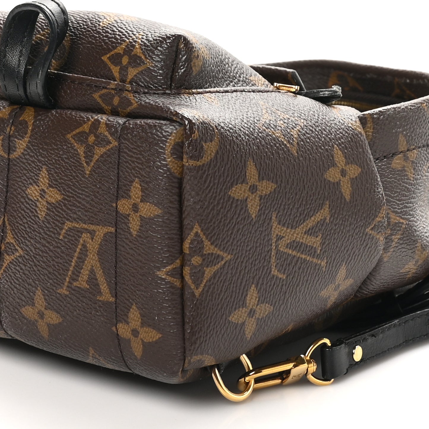 Monogram Palm Springs Backpack Mini