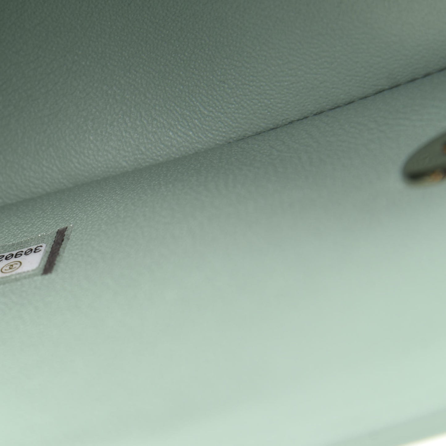 Lambskin Quilted Mini Rectangular Flap Light Green