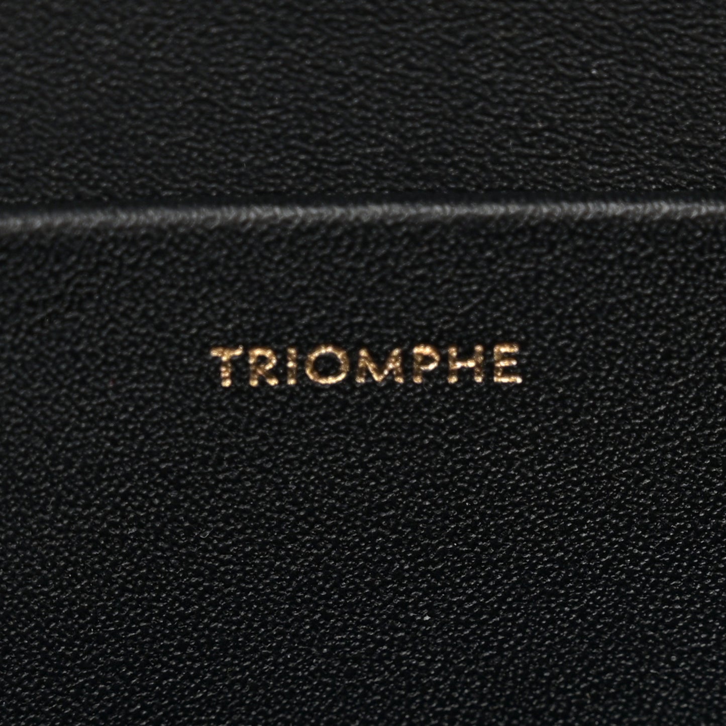 Shiny Calfskin Medium Triomphe Black