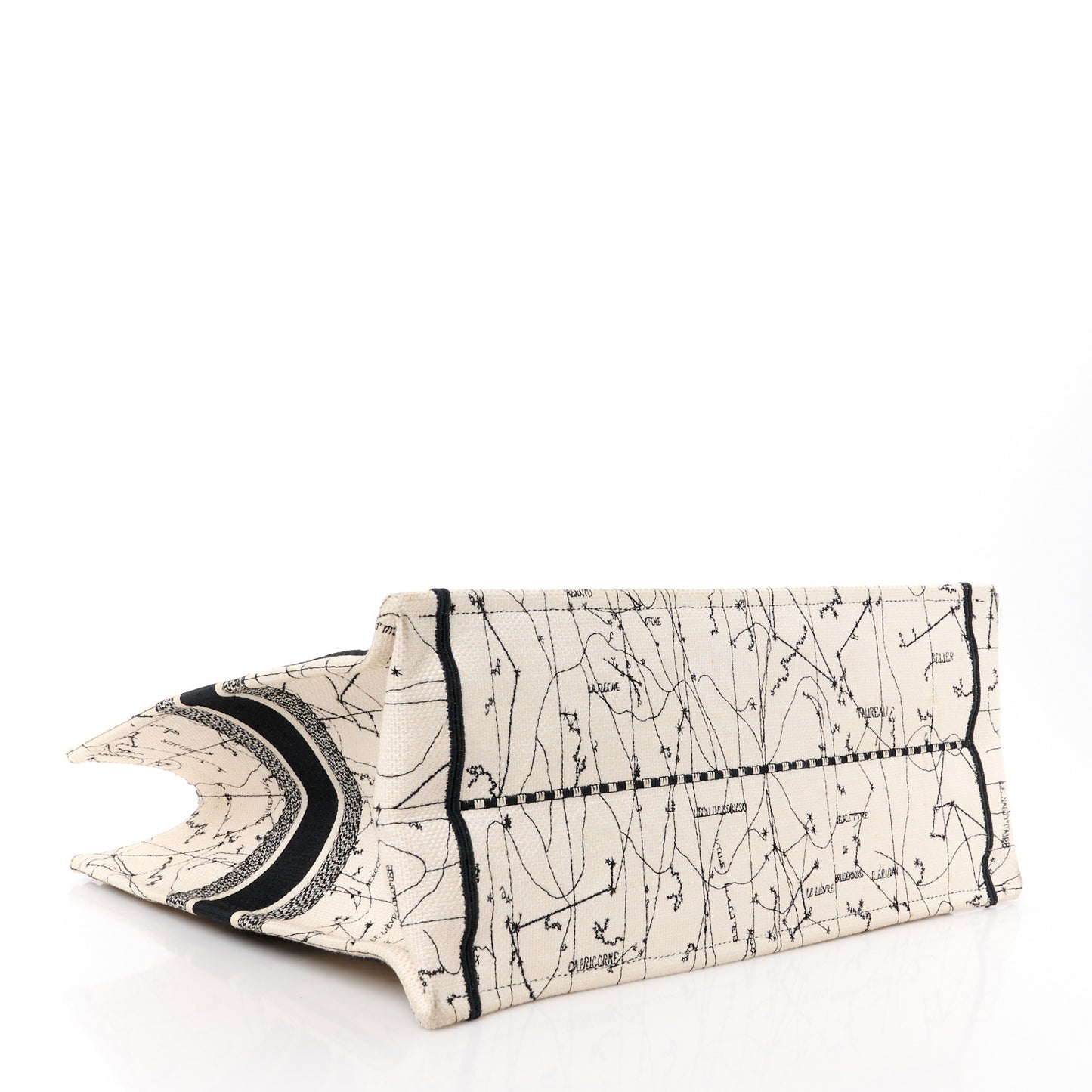 Canvas Embroidered Zodiac Book Tote Latte Multicolor